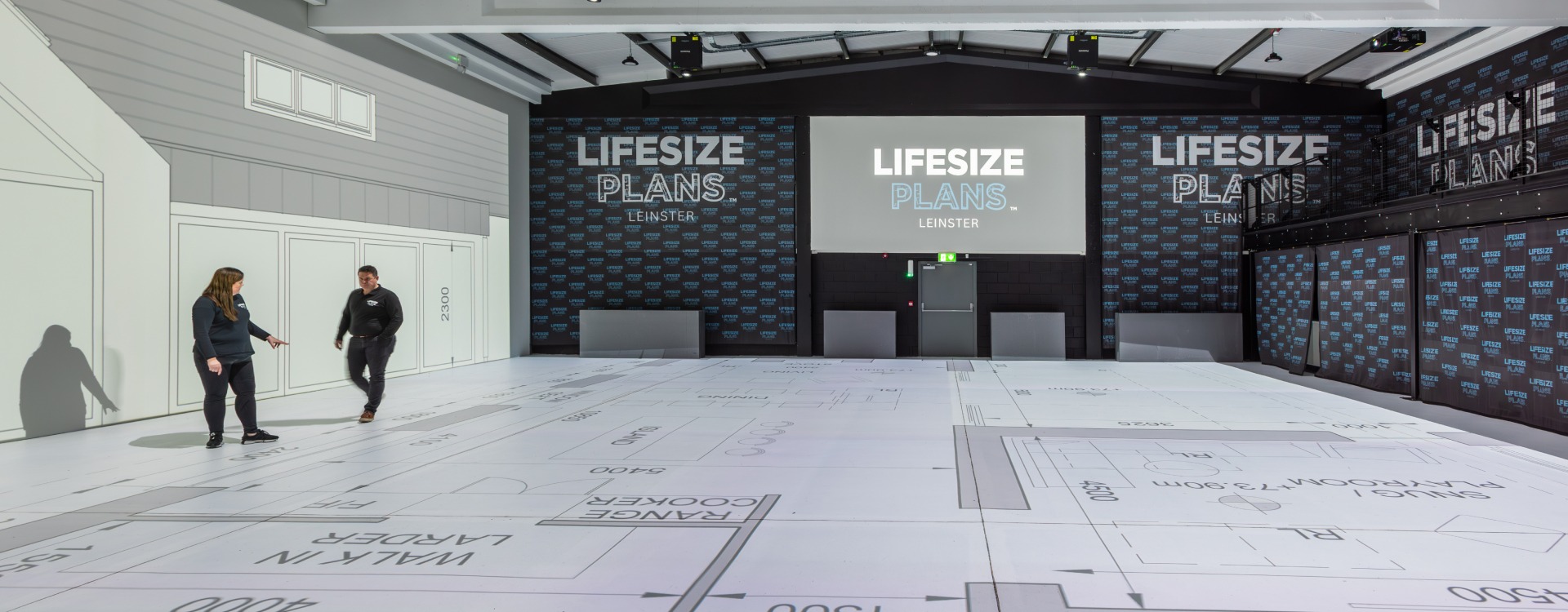 Lifesize Plans Ireland project