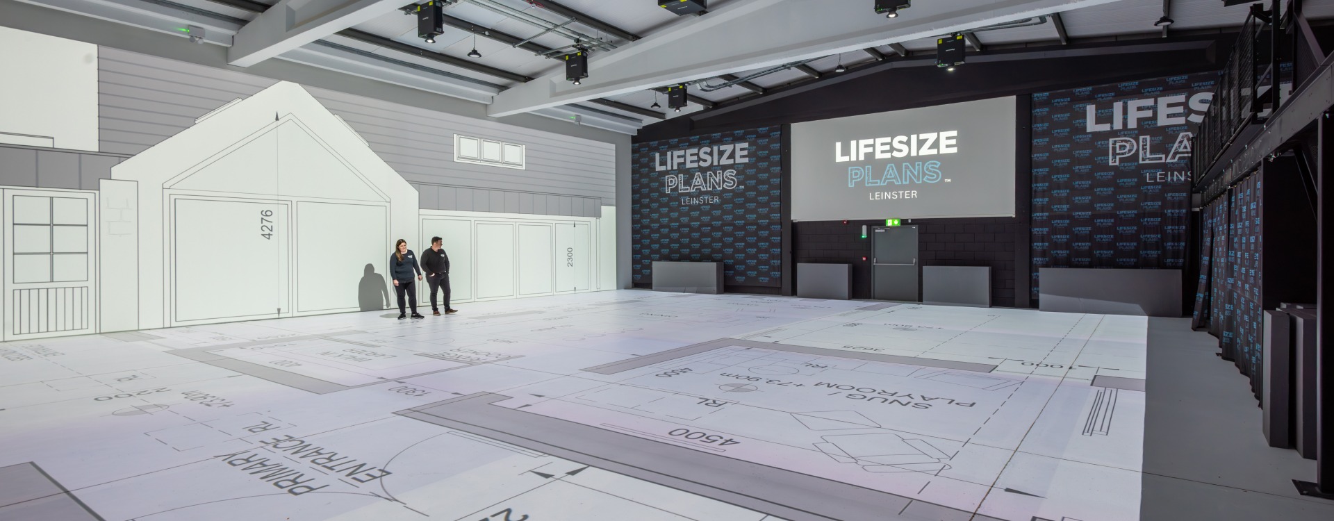 Lifesize Plans Ireland project