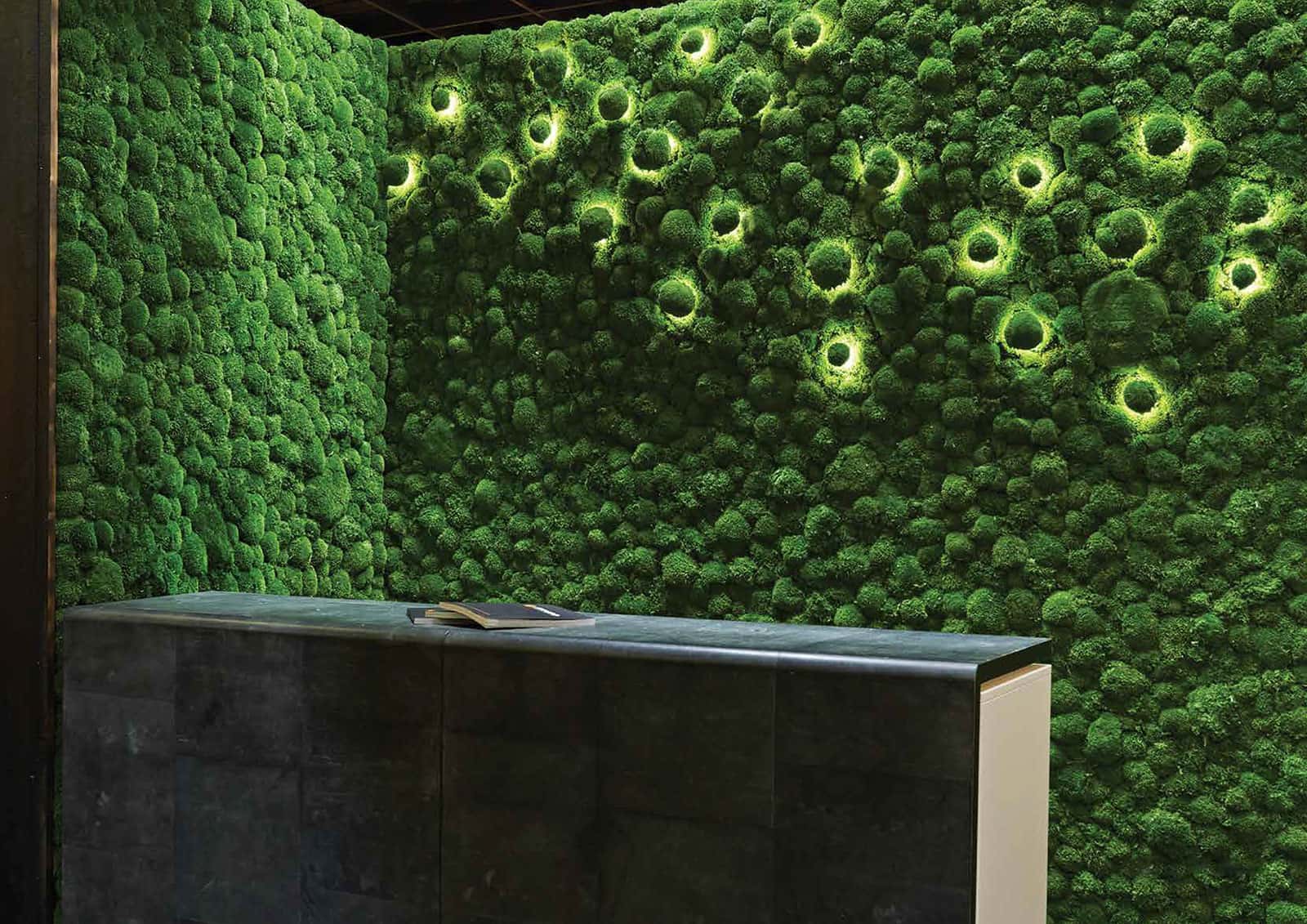 Moss Walls: The Green Revolution in Interior Design